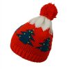 Custom Cute Winter Christmas Hat