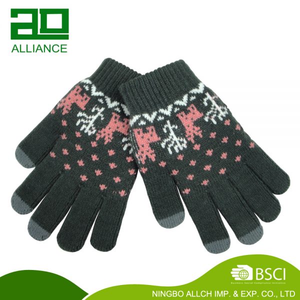 Women's Jacquard Winter Touch Screen Gloves